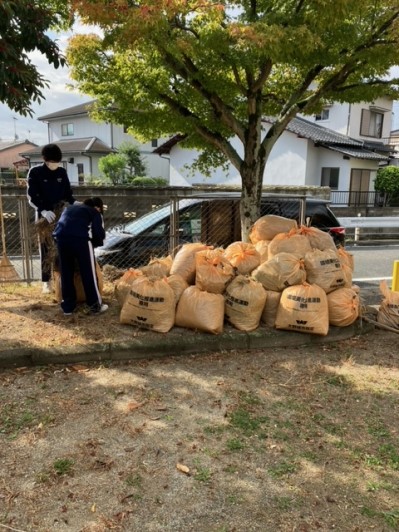 seisou-katudou3.jpg