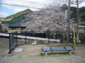 tukimigaoka-kouen1.jpg