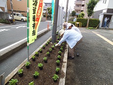 hanaue2019061501.jpg