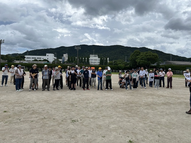 gg77.6.221.jpg