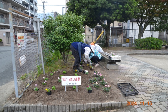 hana11152.jpg