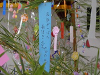 7-ikiiki-06.JPG