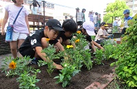 haru7.JPG