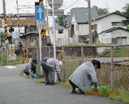 harukuri_0001.JPG